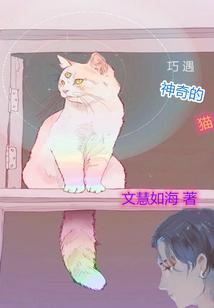 巧遇神奇的猫